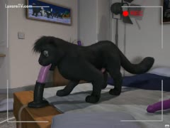 An imaginative clip from an animated sex film in which a toy cat fucks and sucks a purple vibrator